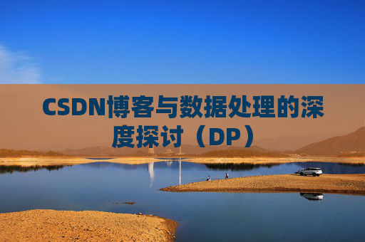 CSDN博客与数据处理的深度探讨（DP）